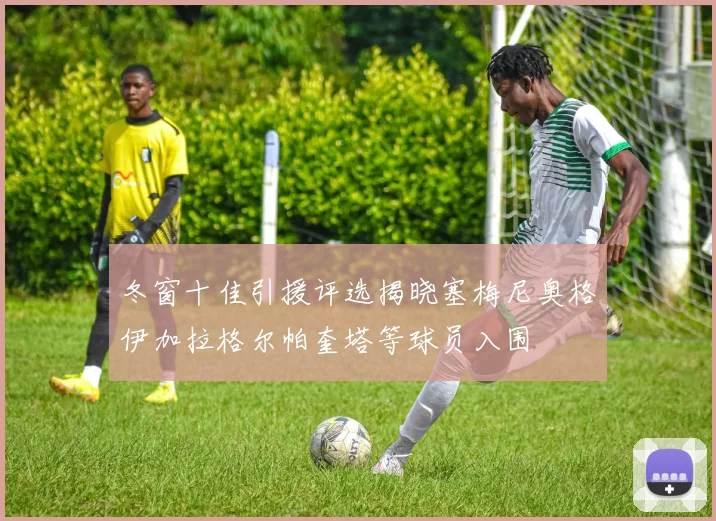 冬窗十佳引援评选揭晓塞梅尼奥格伊加拉格尔帕奎塔等球员入围