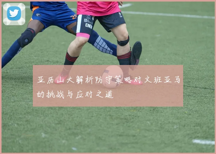 亚历山大解析防守策略对文班亚马的挑战与应对之道